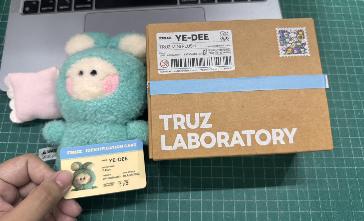 [ON HAND] TREASURE X TRUZ LINE FRIENDS STANDING DOLL MININI [YEDEE]