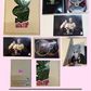 BIGBANG ALBUM | DVD | BLURAY | PHOTOBOOK